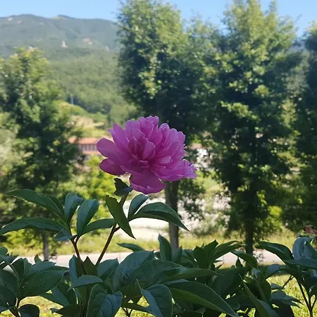 La Cappuccina Apartmán Corniglio