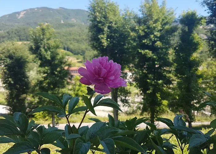 La Cappuccina Apartamento Corniglio